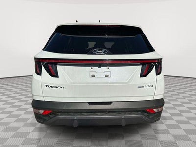 2024 Hyundai Tucson Hybrid Limited